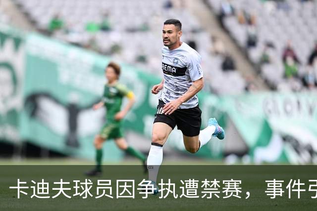 卡迪夫球员因争执遭禁赛，事件引发多方反响
